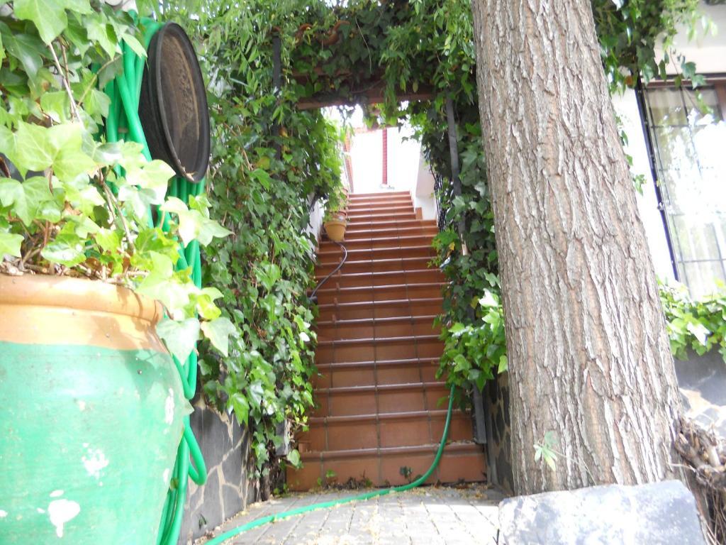 Pension Barrio Fuenteheridos Bagian luar foto